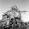 ZAD © Philippe Graton