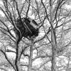 ZAD © Philippe Graton