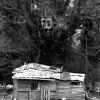ZAD © Philippe Graton