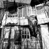 ZAD © Philippe Graton