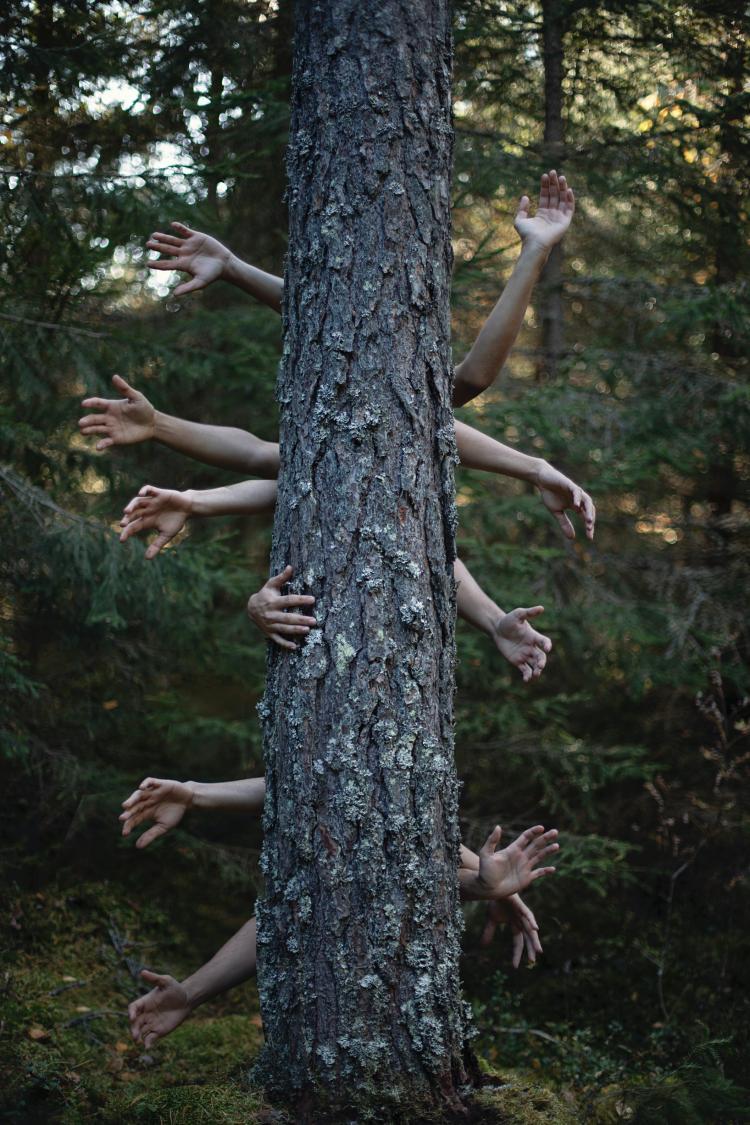 tronc d'arbre vertical avec 12 bras dépassant de part et d'autre